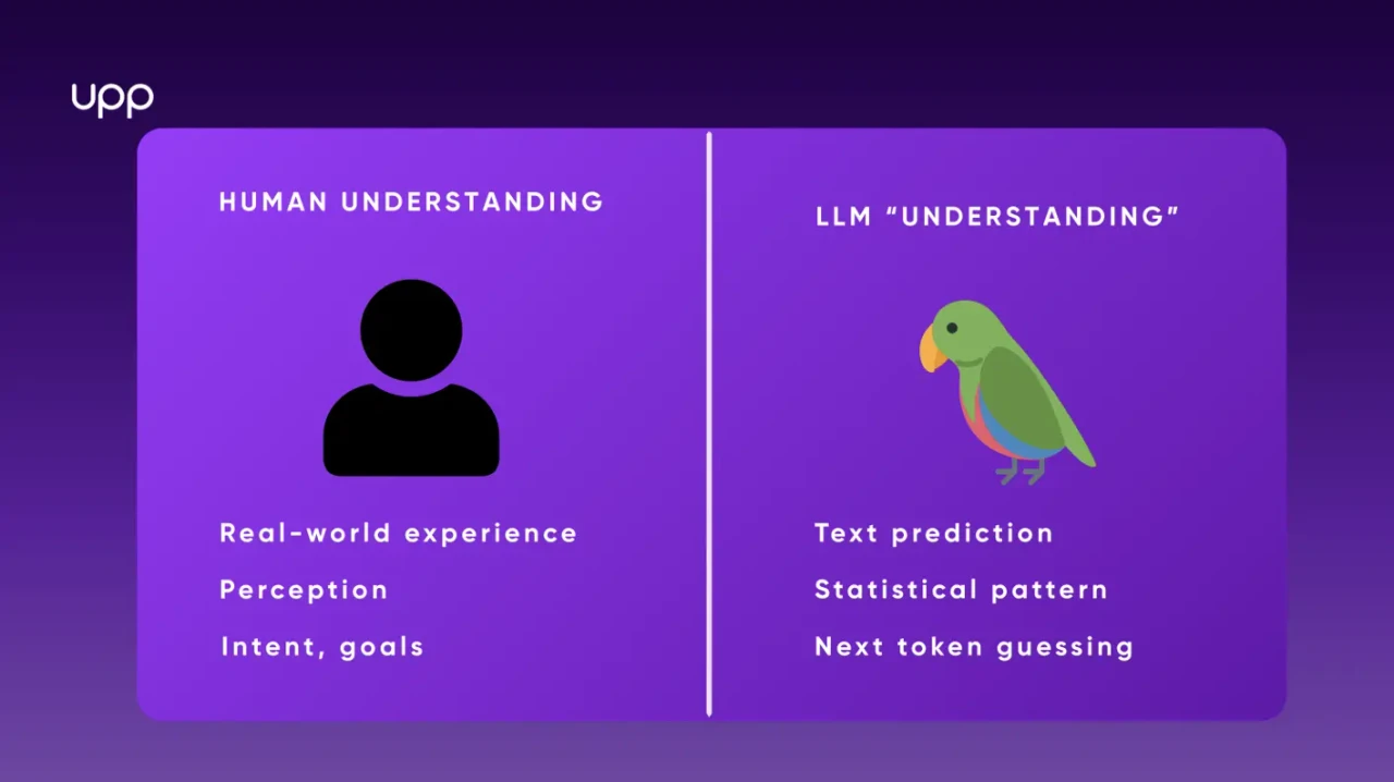 Caption: Differences between human understanding and LLM "understanding"