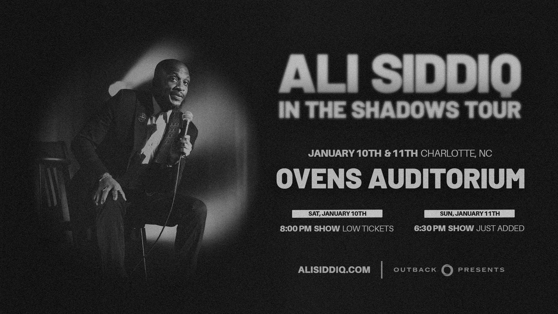 Ali Siddiq: In The Shadows