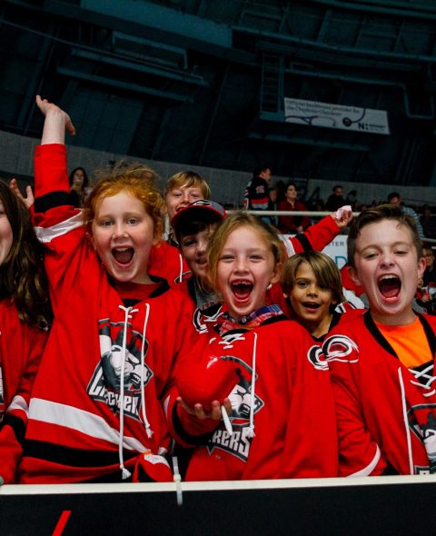 Checkers Fans
