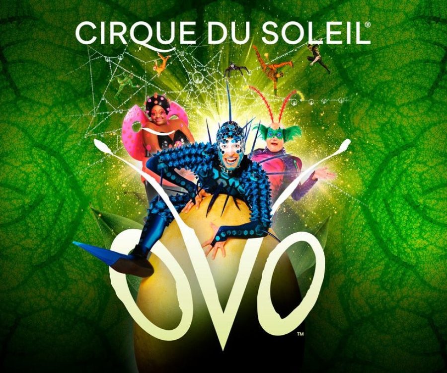 Jan. 8, 7:30 PM -
Save 40%