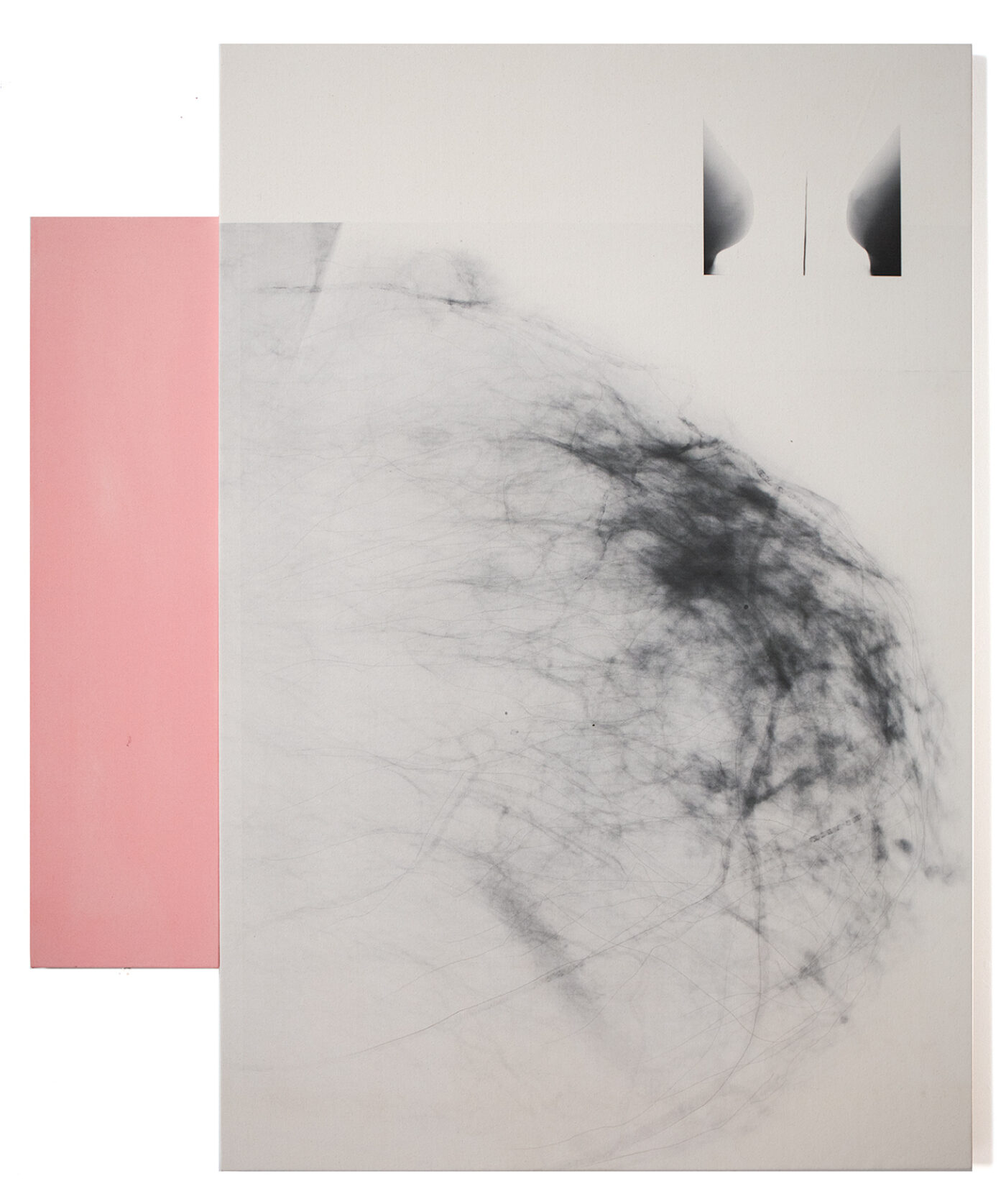 BOMB Magazine | Kunié Sugiura by Shelly Silver
