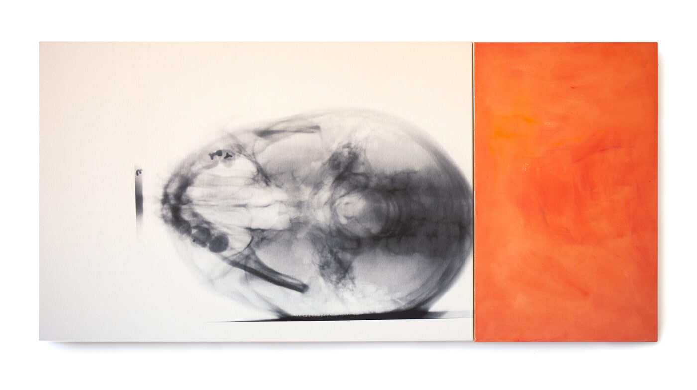 Artists and Scientists / Kunié Sugiura BOMB Magazine | Kunié Sugiura by Shelly Silver