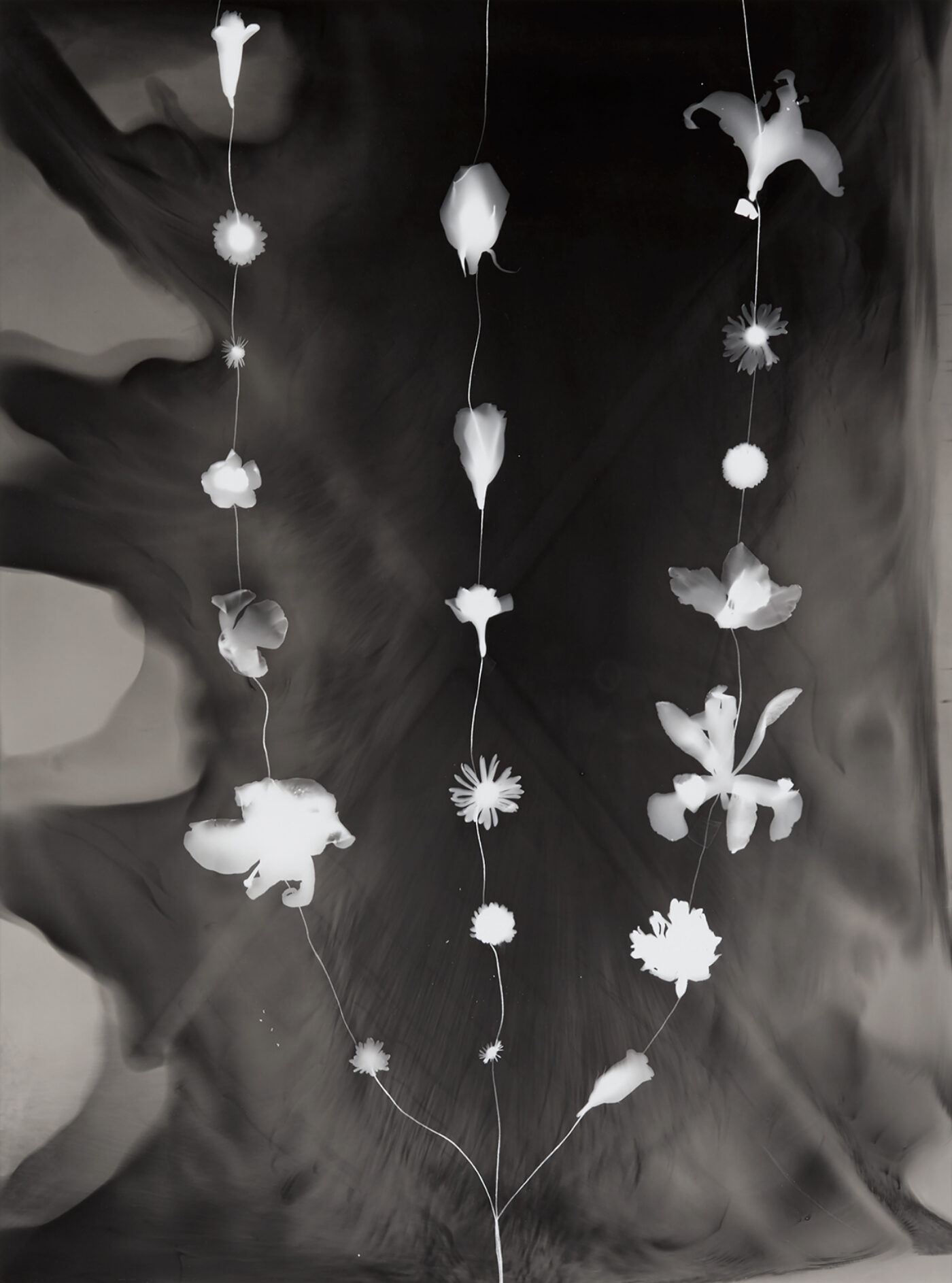 BOMB Magazine | Kunié Sugiura by Shelly Silver