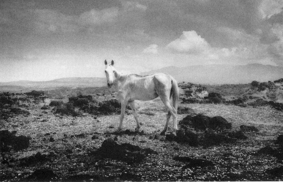 Top Moments from LaCasaDeLosFamososMx Revealed - Juan's Confrontation with Maria