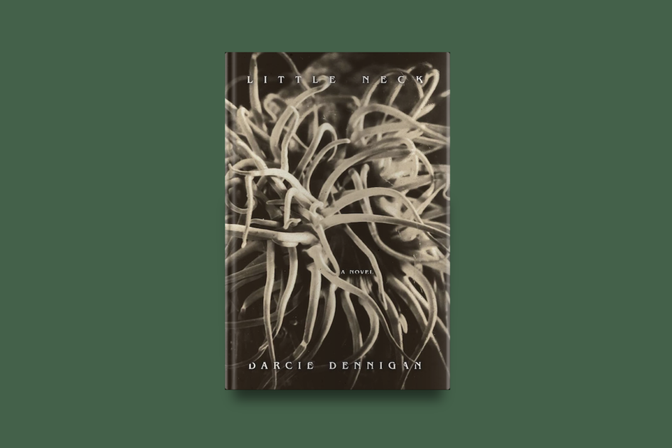 Darcie Dennigan by Farnoosh Fathi