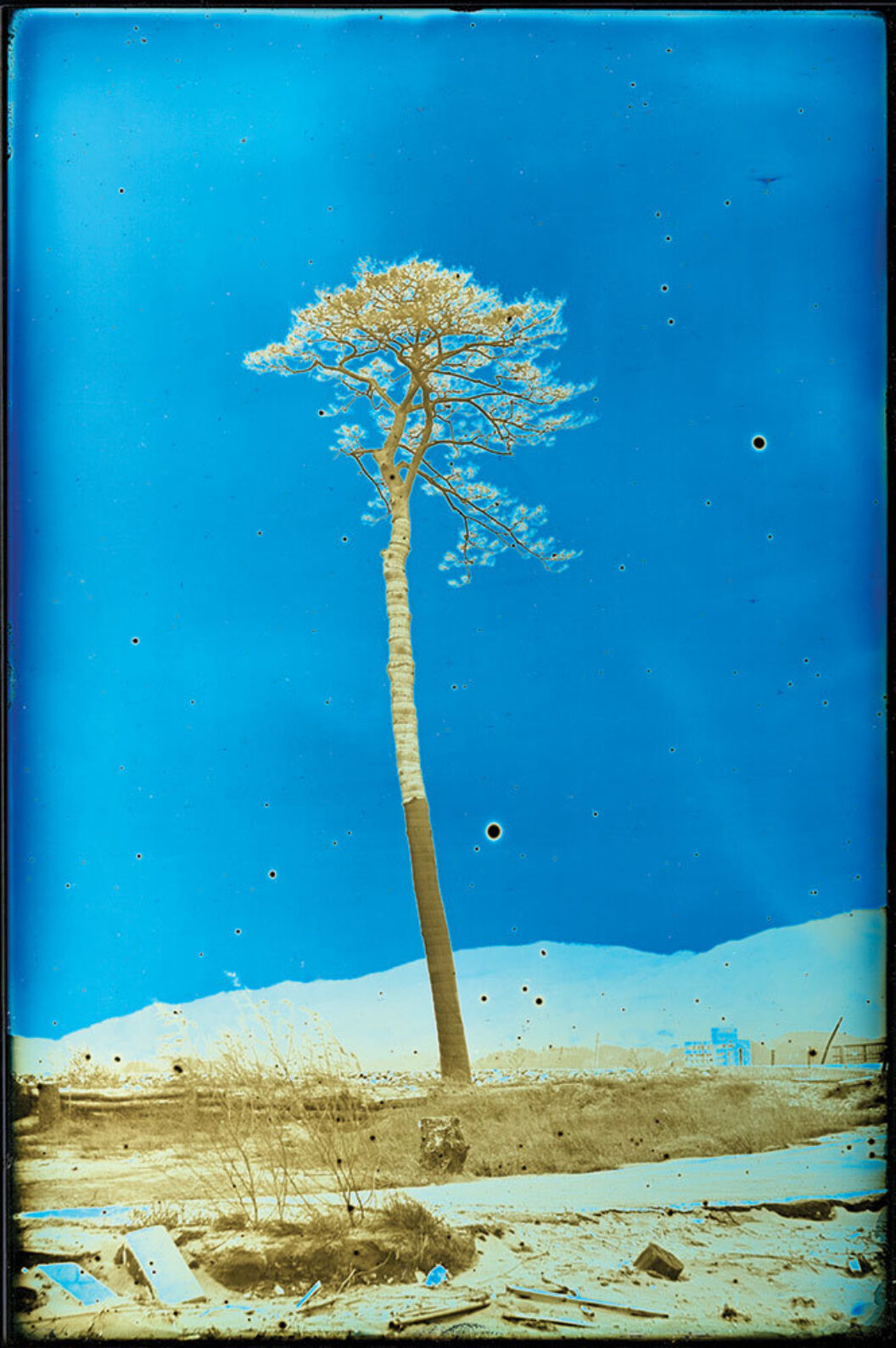 BOMB Magazine | Portfolio