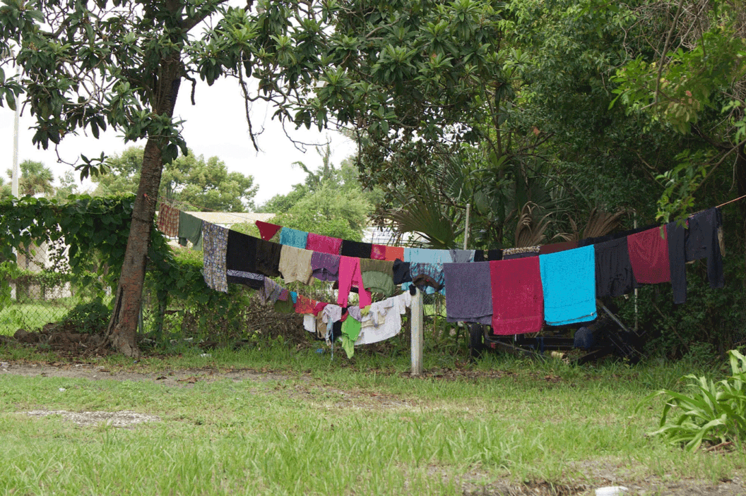 Color photograph of a clothesline.