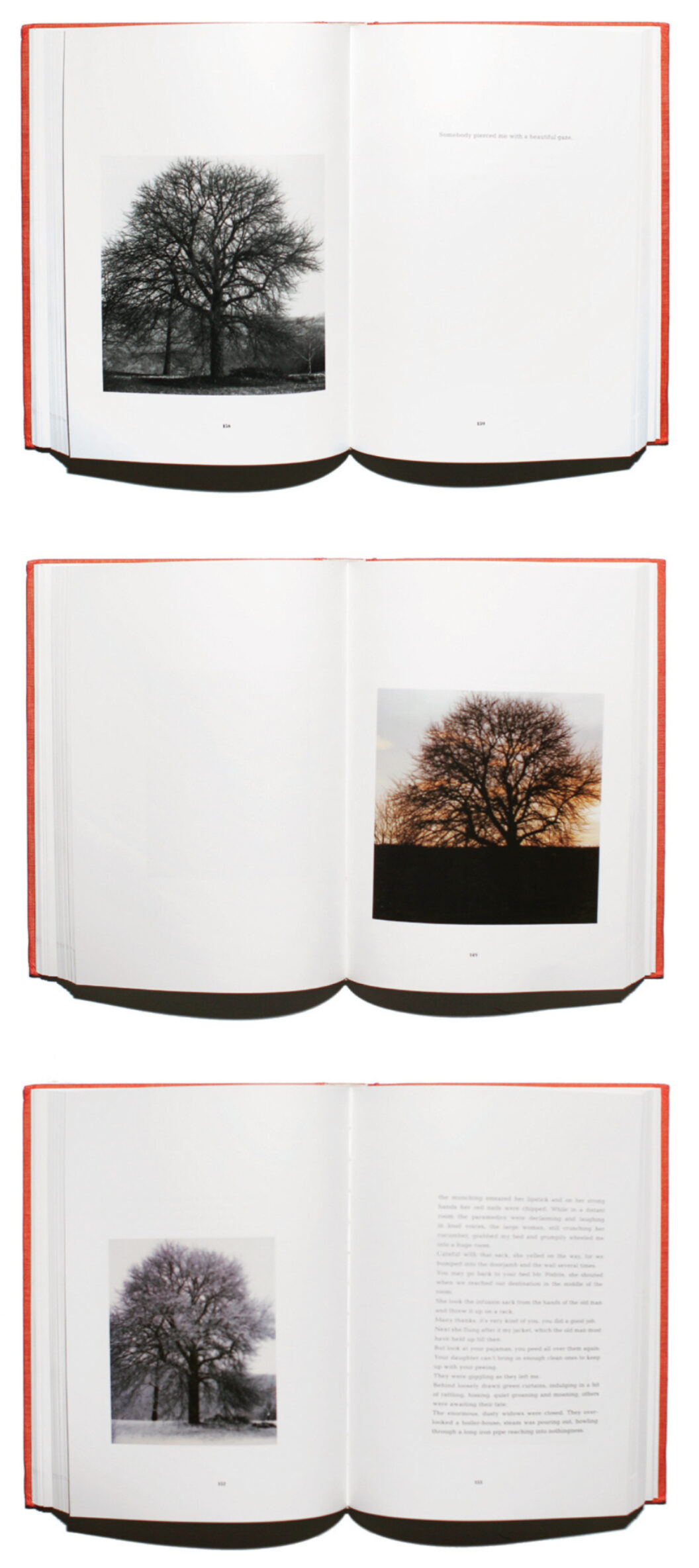 1187 The same book with three different spreads is shown on a white background. The cover is bright orange and there are images of trees on one side and text on the other.