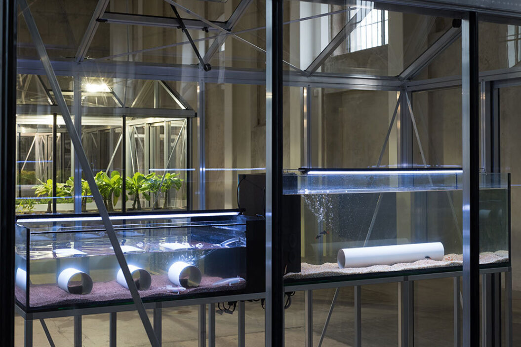 BOMB Magazine | Landform Building