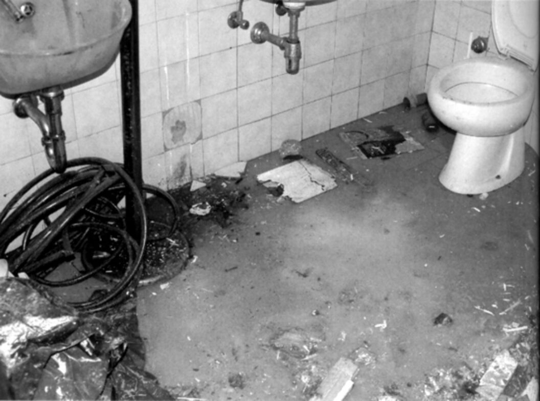 Wolf Family Tattoo – Tattoobnb, image size:1056x784