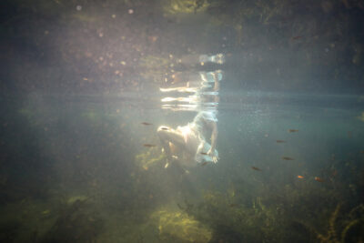 Allison Janae Hamilton1