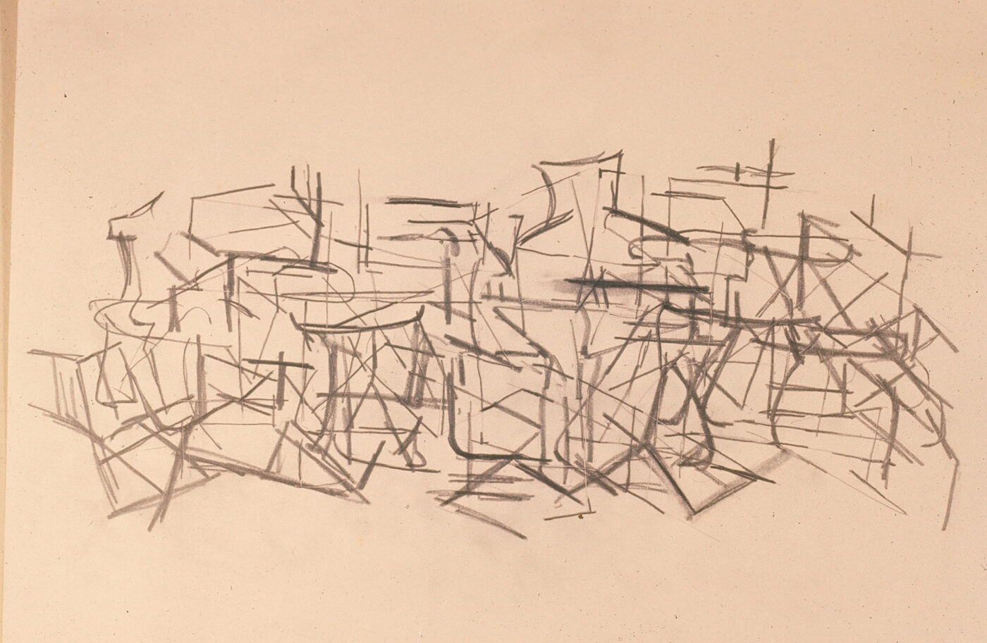 THE NEWARK MUSEUM OF ART, image size:1400x913