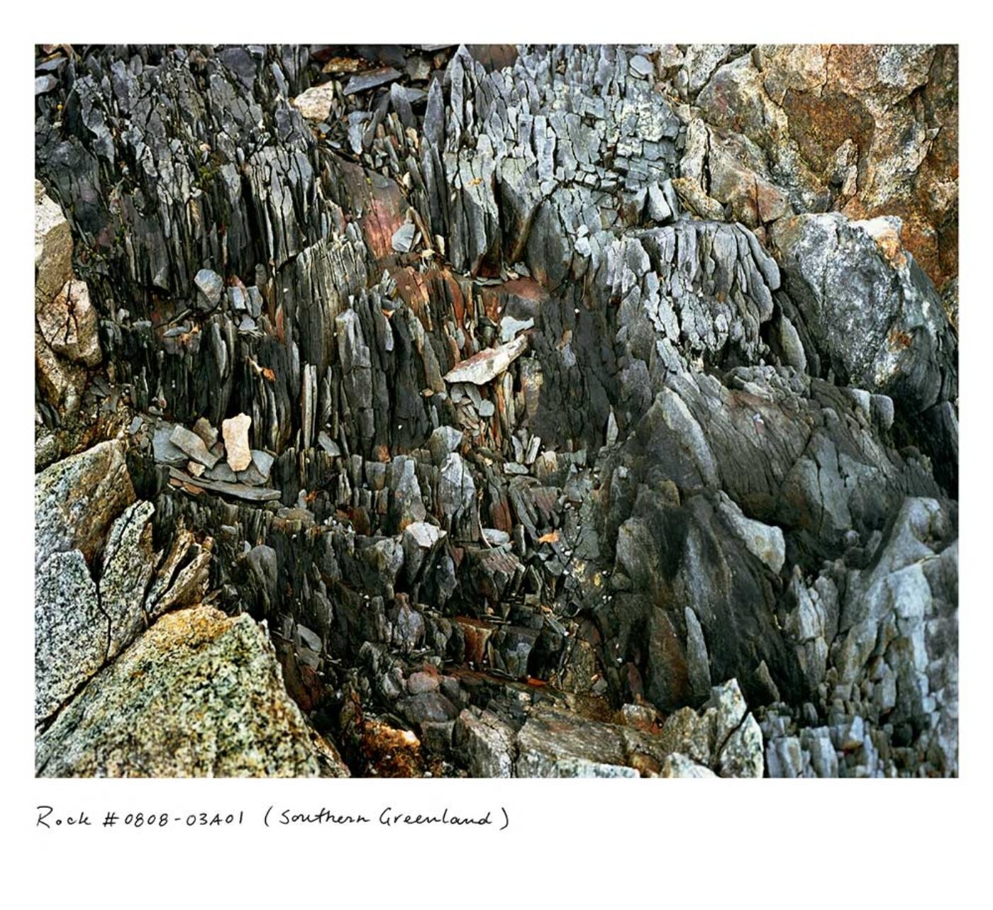 BOMB Magazine | Rachel Sussman, image size:1400x1284