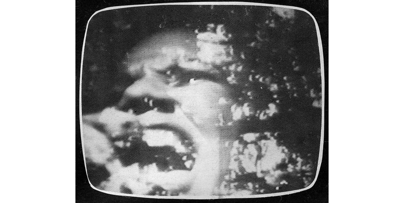 BOMB Magazine | Algiers Killings