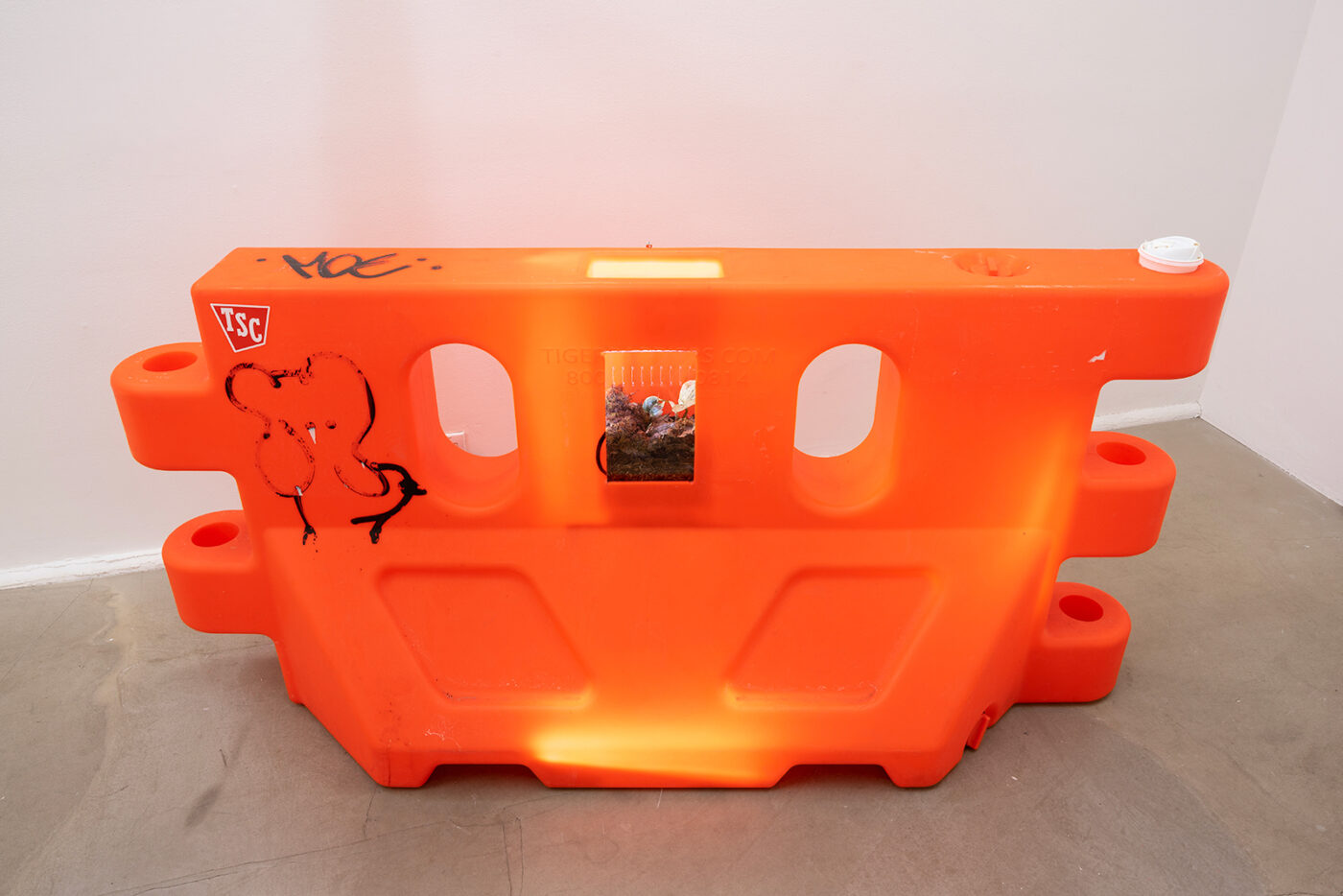 BOMB Magazine | Kay Kasparhauser by Whitney Mallett