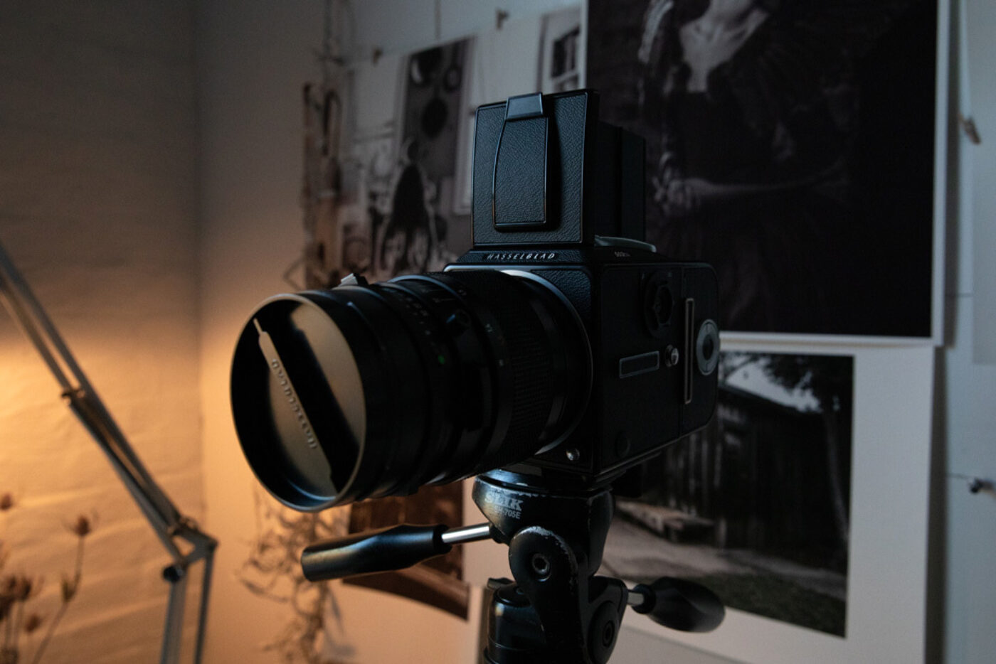 baranova BOMB Magazine | Studio Visit: Maria Baranova