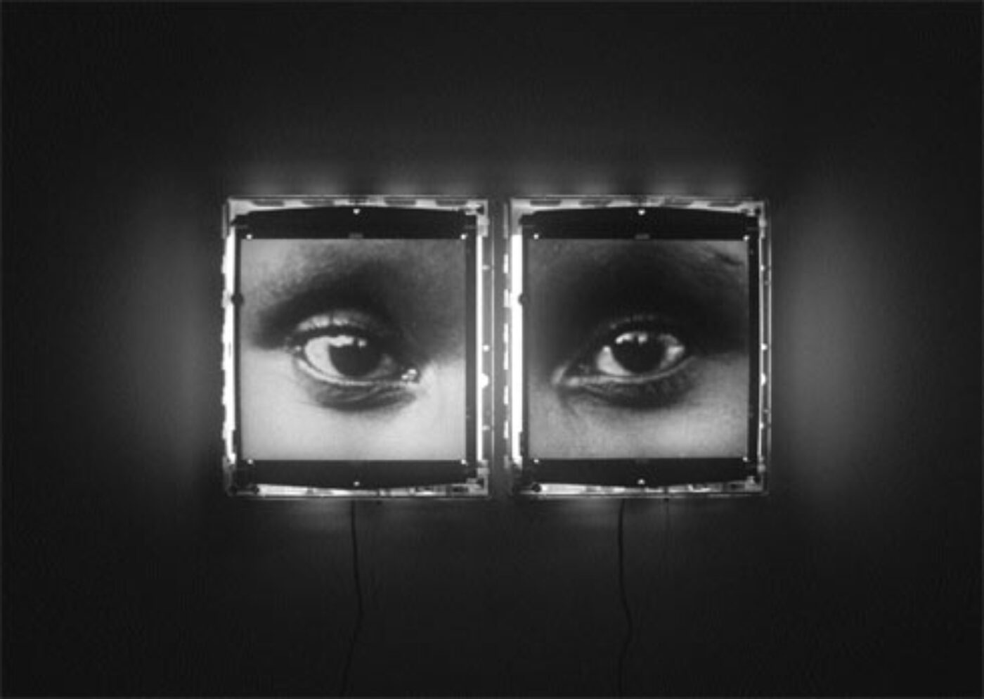 BOMB Magazine David Levi Strauss