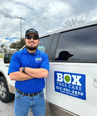 Tree Care Cost