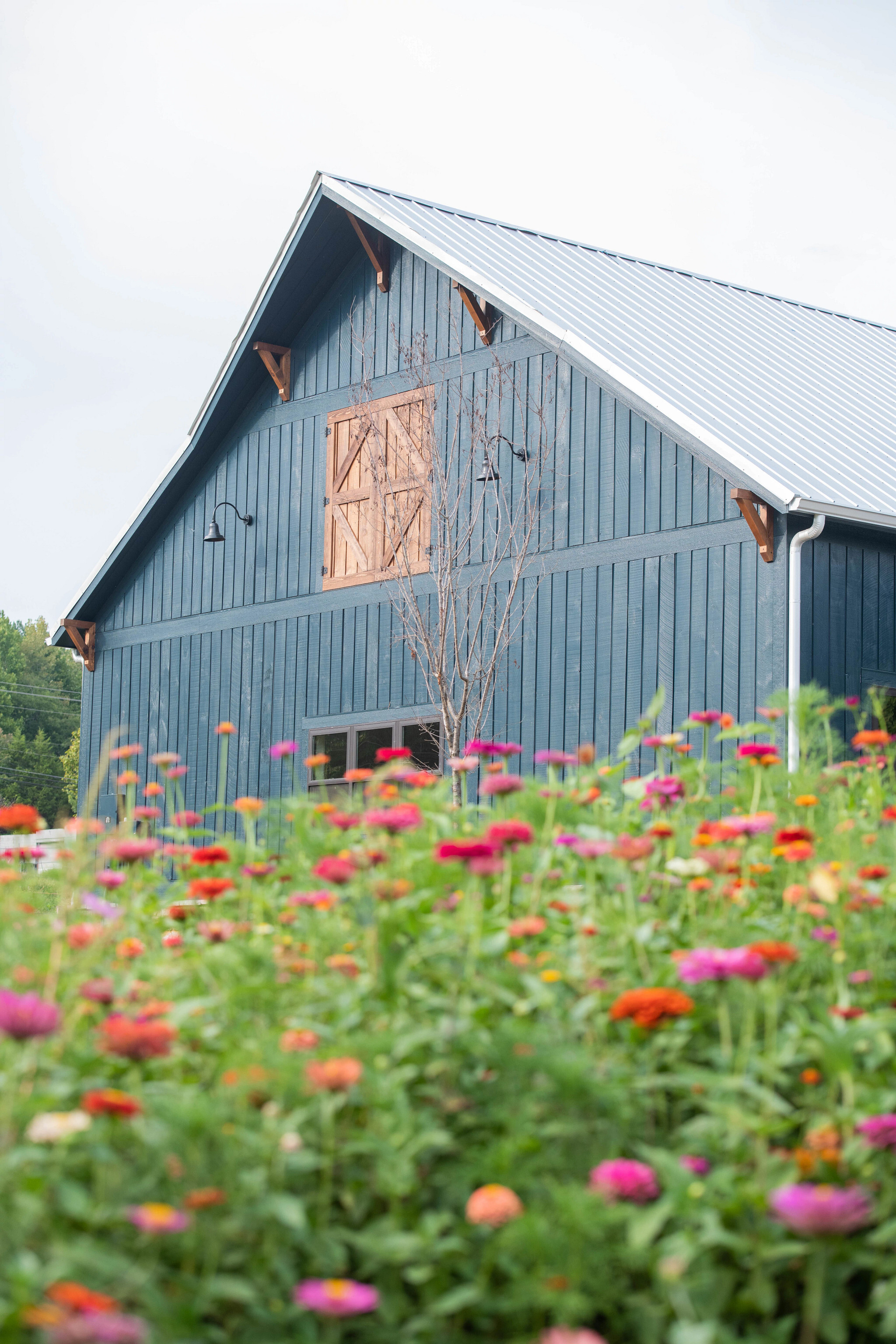 Farmhouse Stays, Homegrown Cuisine, and Pastoral Beauty: Discover…