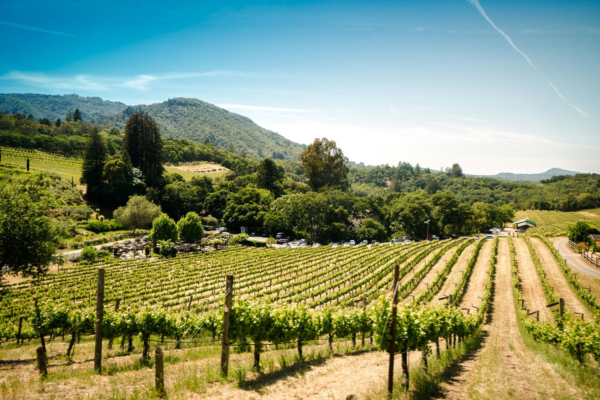 Budget Travel | Sonoma, image size:1920x1280