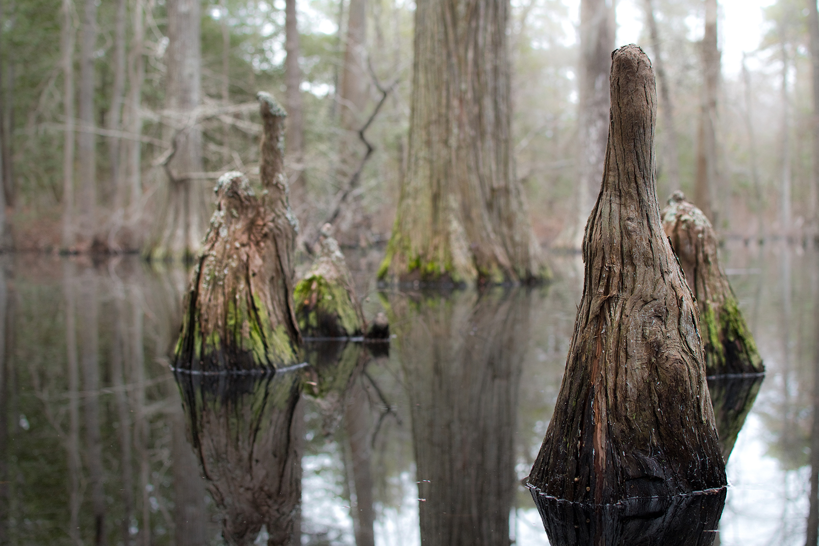 Budget Travel Suffolk