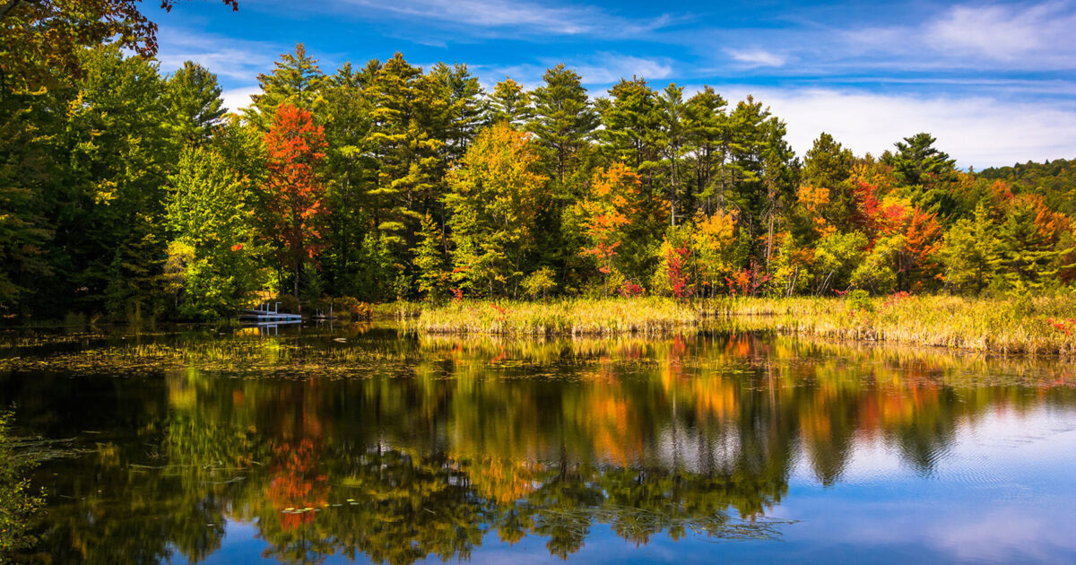 Budget Travel Bethel