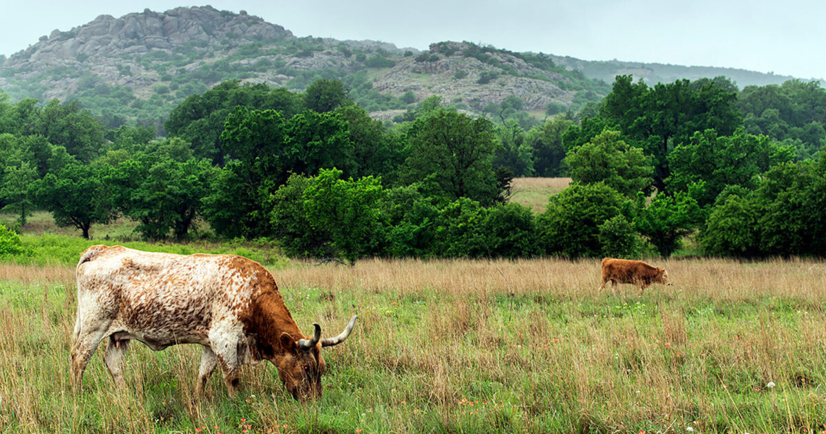 Budget Travel Marble Falls