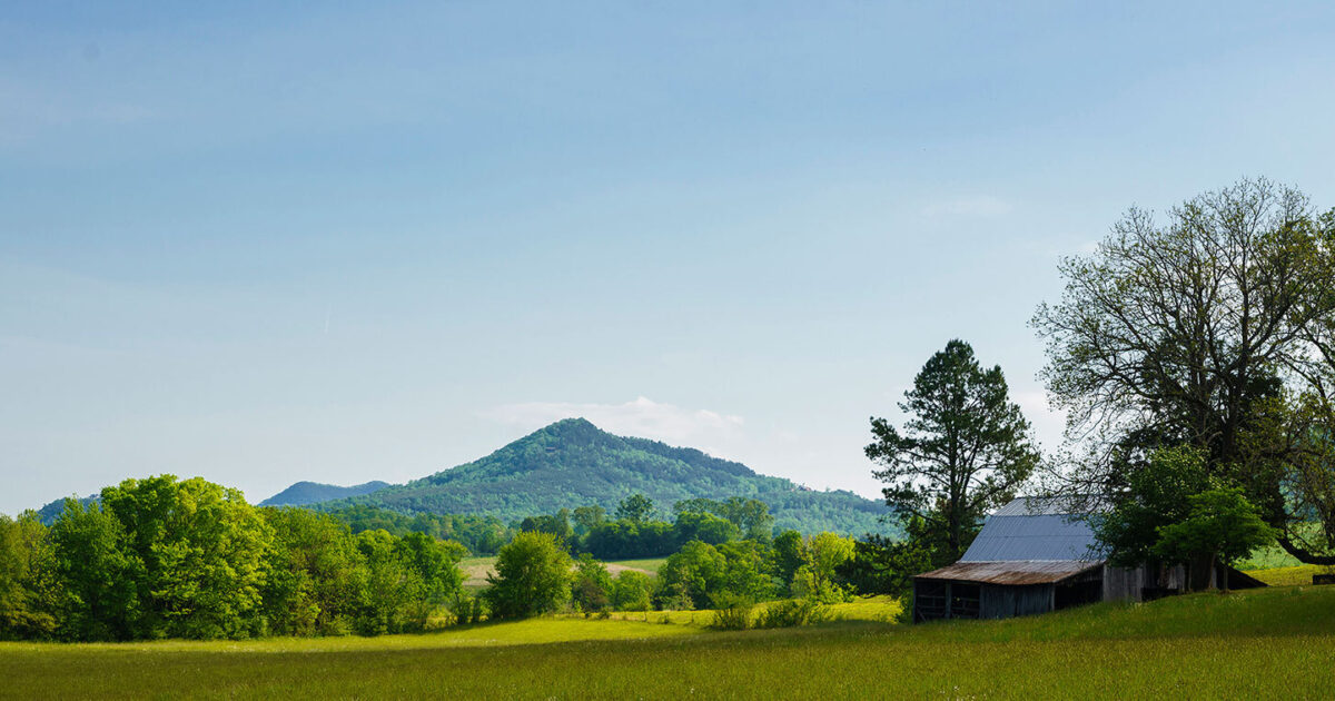 Budget Travel Tellico Plains