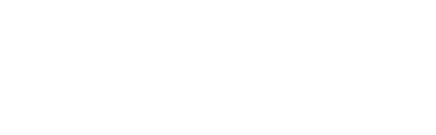 Capital Processing Systems