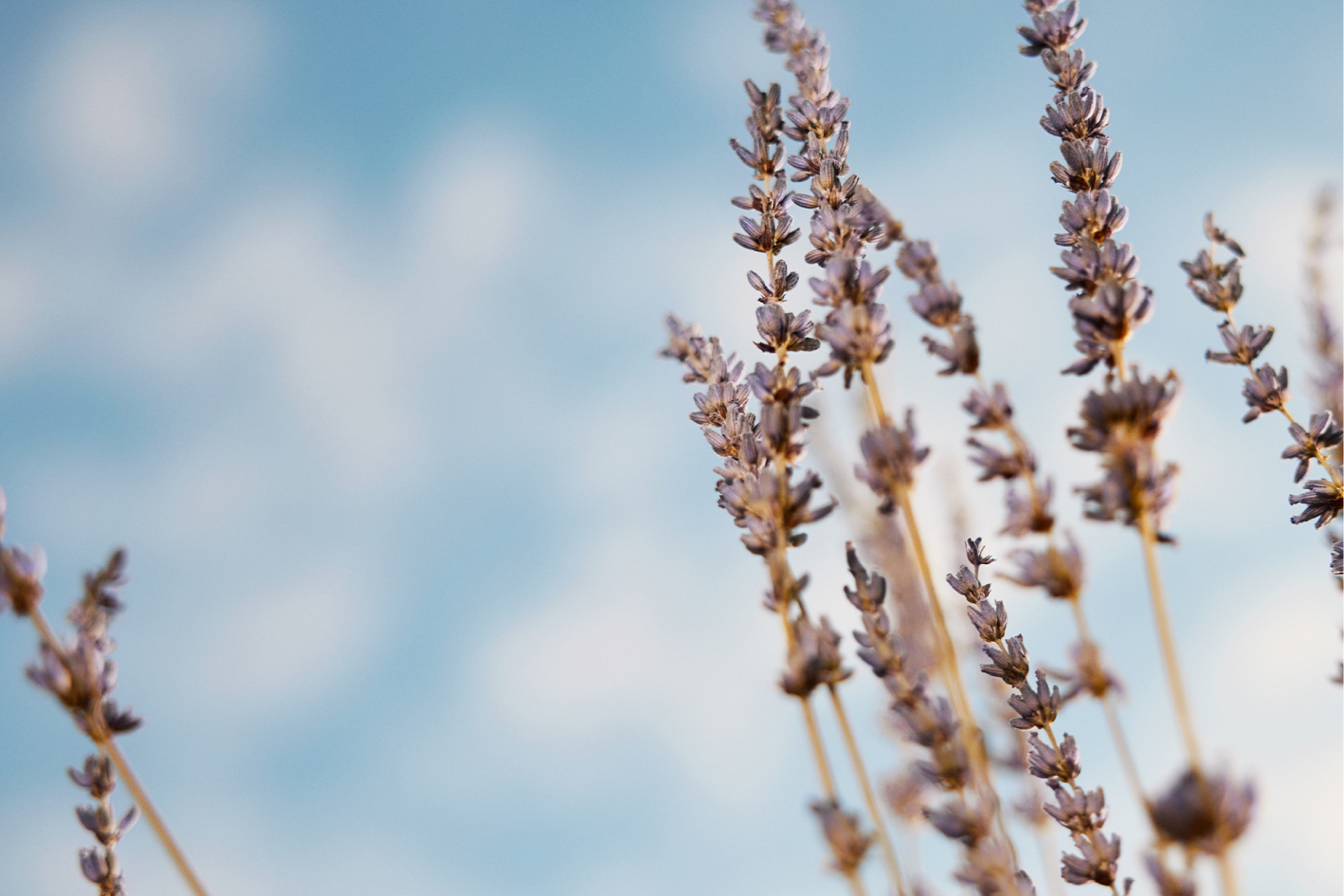 Sky organics 02