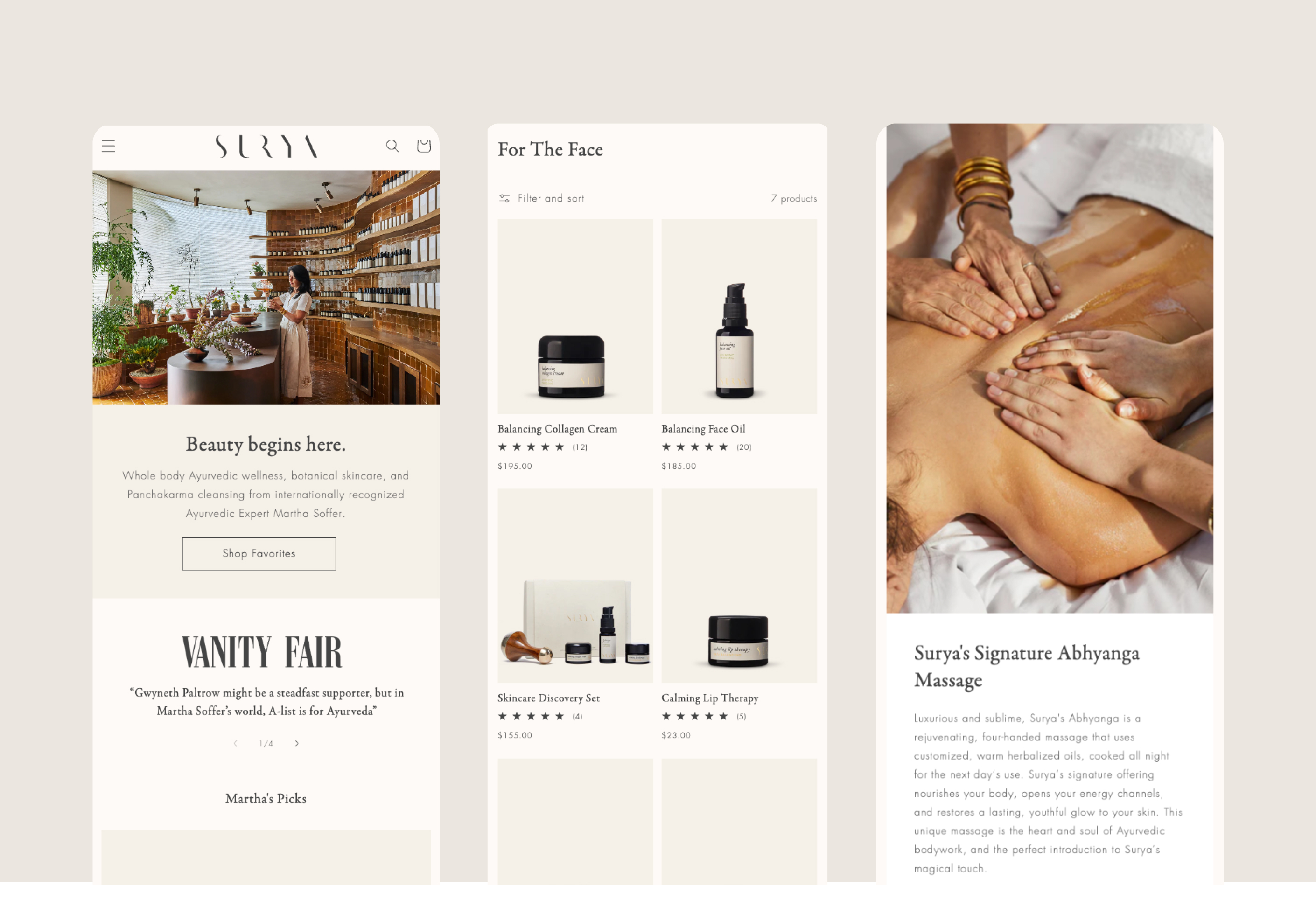 Surya web 02