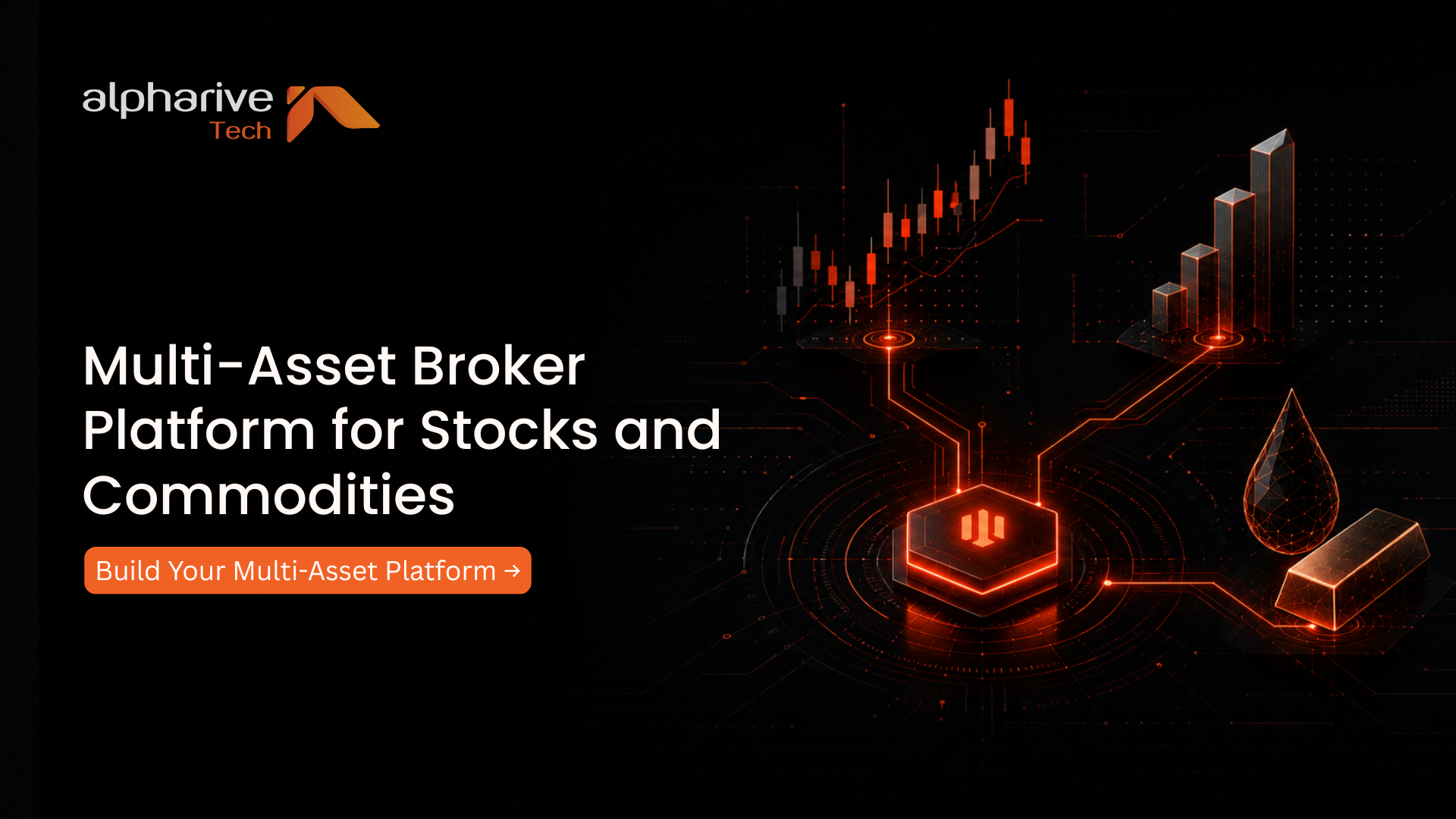 Multi-Asset Broker Platform for Stocks and Commodities: A Primer