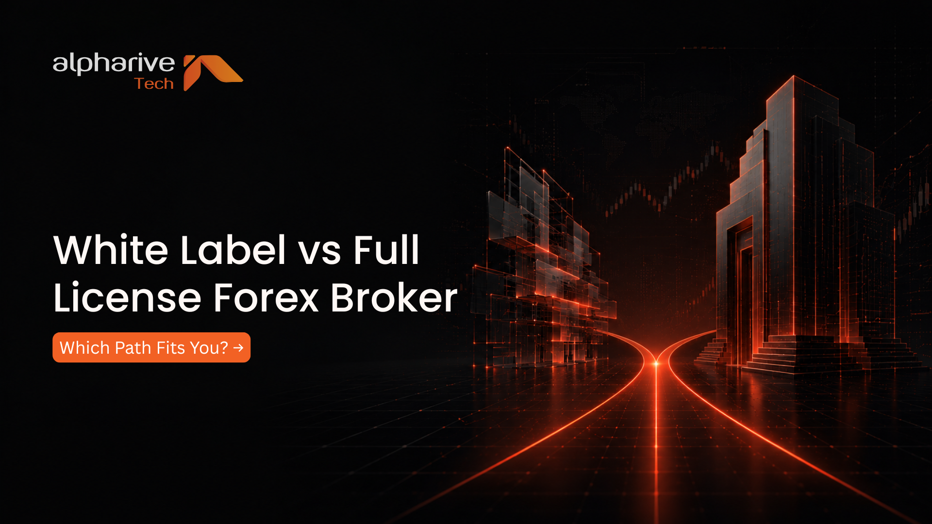 White Label vs Full License Forex Broker: Which Path Fits You?