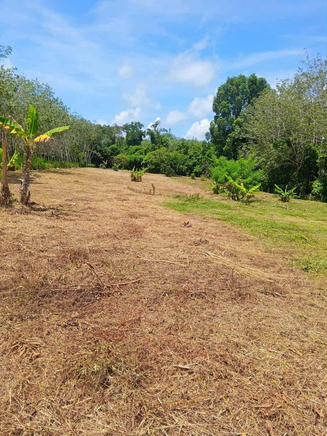 Land plot with mountain view at Mai Khao