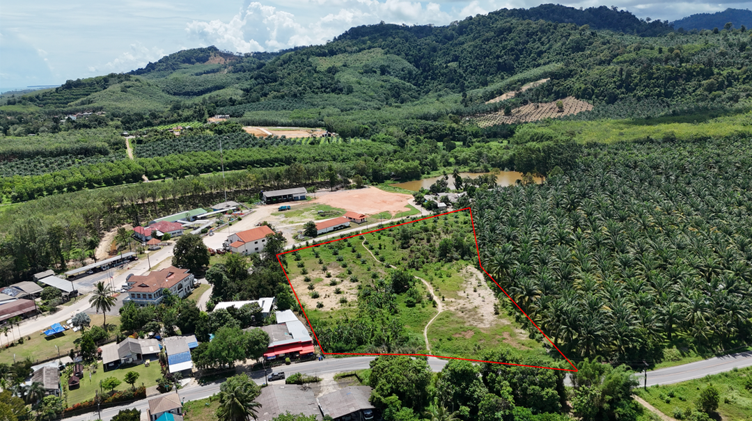 9-Rai prime land with majestic mountain views near Khao Lak
