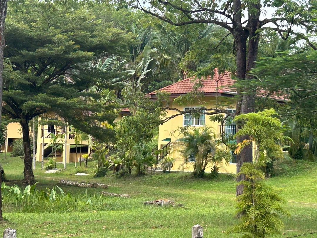Yellow side cozy nature house near Khao Lak Center, 1BR with garden view veranda.