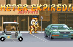 Blanka – Street Fighting Meter Maid