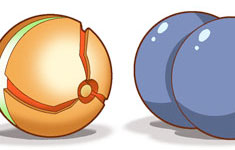 Non-Regulation Poké Balls (2 of 6)