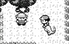 A Bug Catcher’s Life