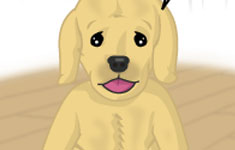 All Nintendogs Don’t go to Heaven