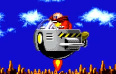 Introducing the Big Dog