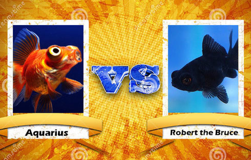 Goldfish Playing Street Fighter II