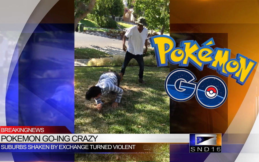 Pokémon GO Fight Caught on Camera!