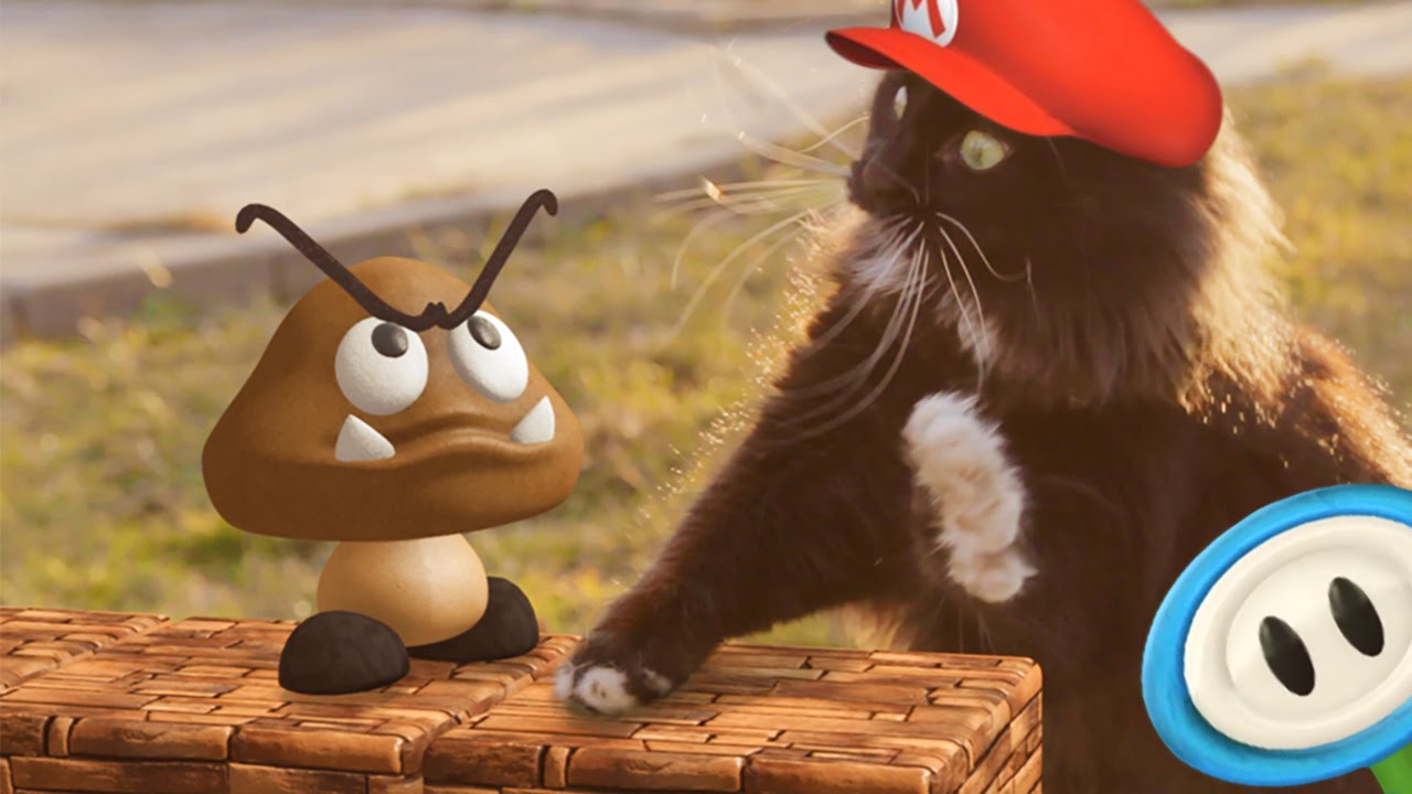 Super Mario’s Cat