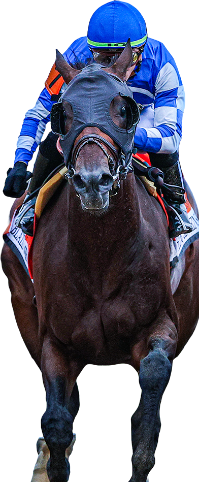 horse racing jockey image