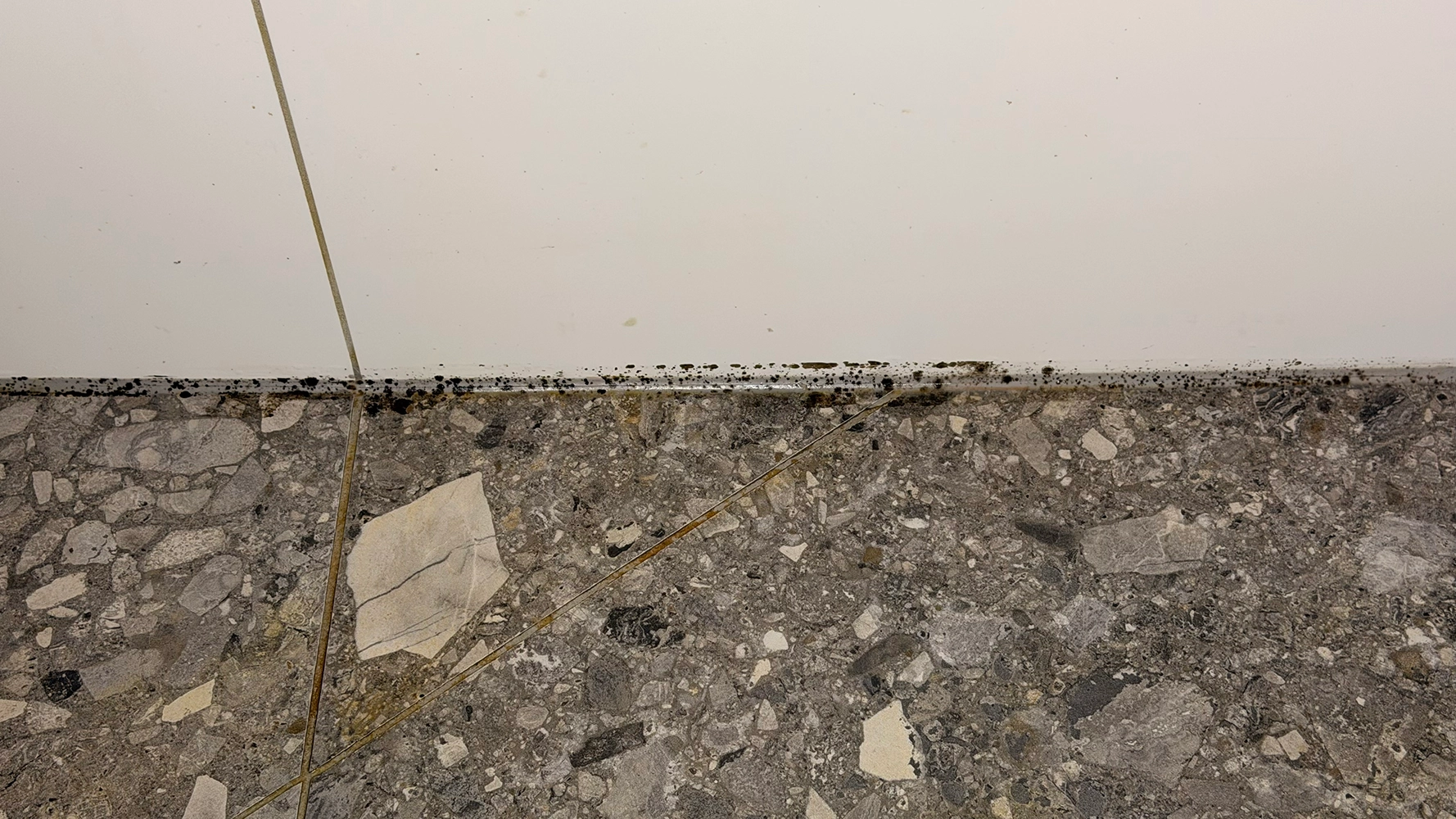 Epoxy Regrout before