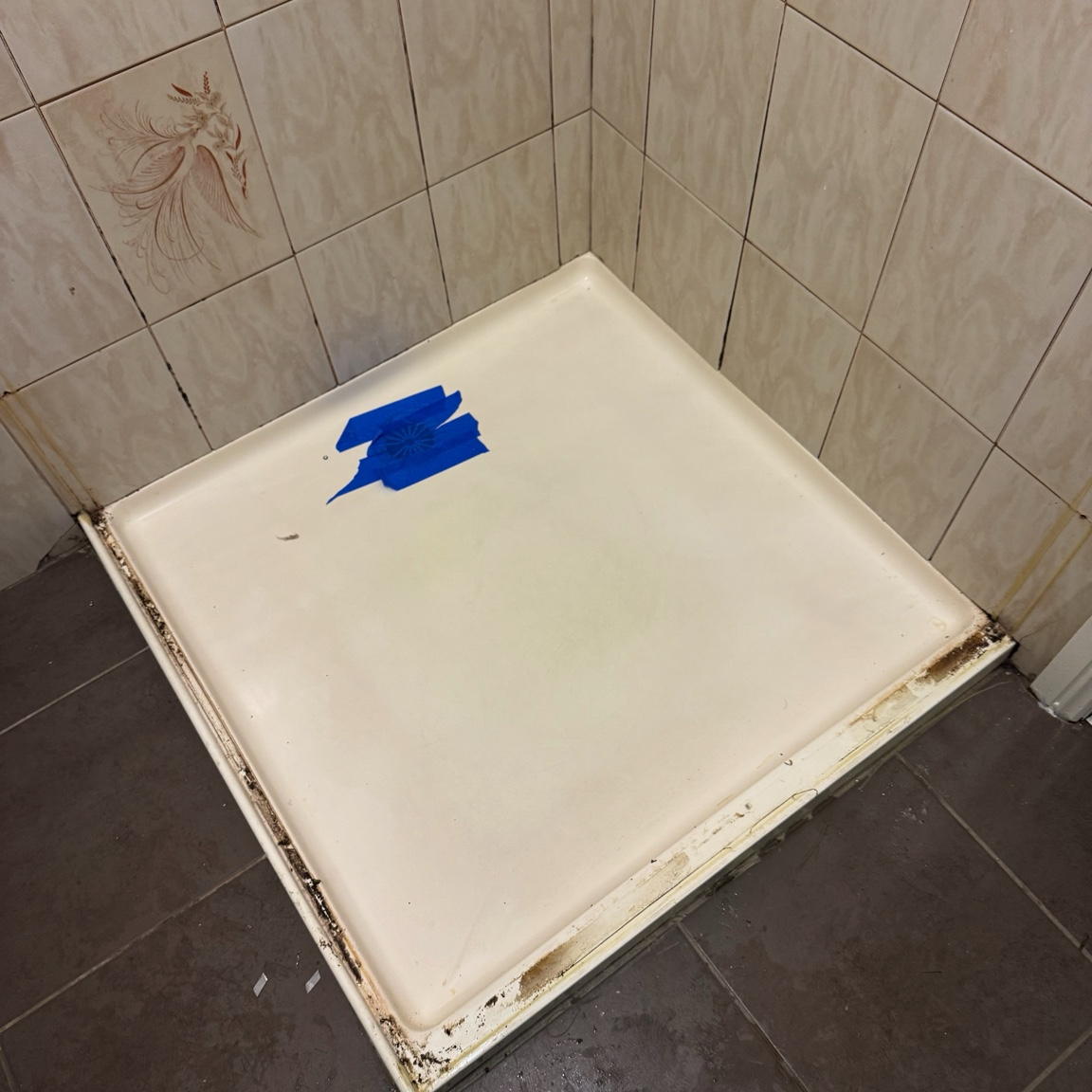 Shower Rebuild before