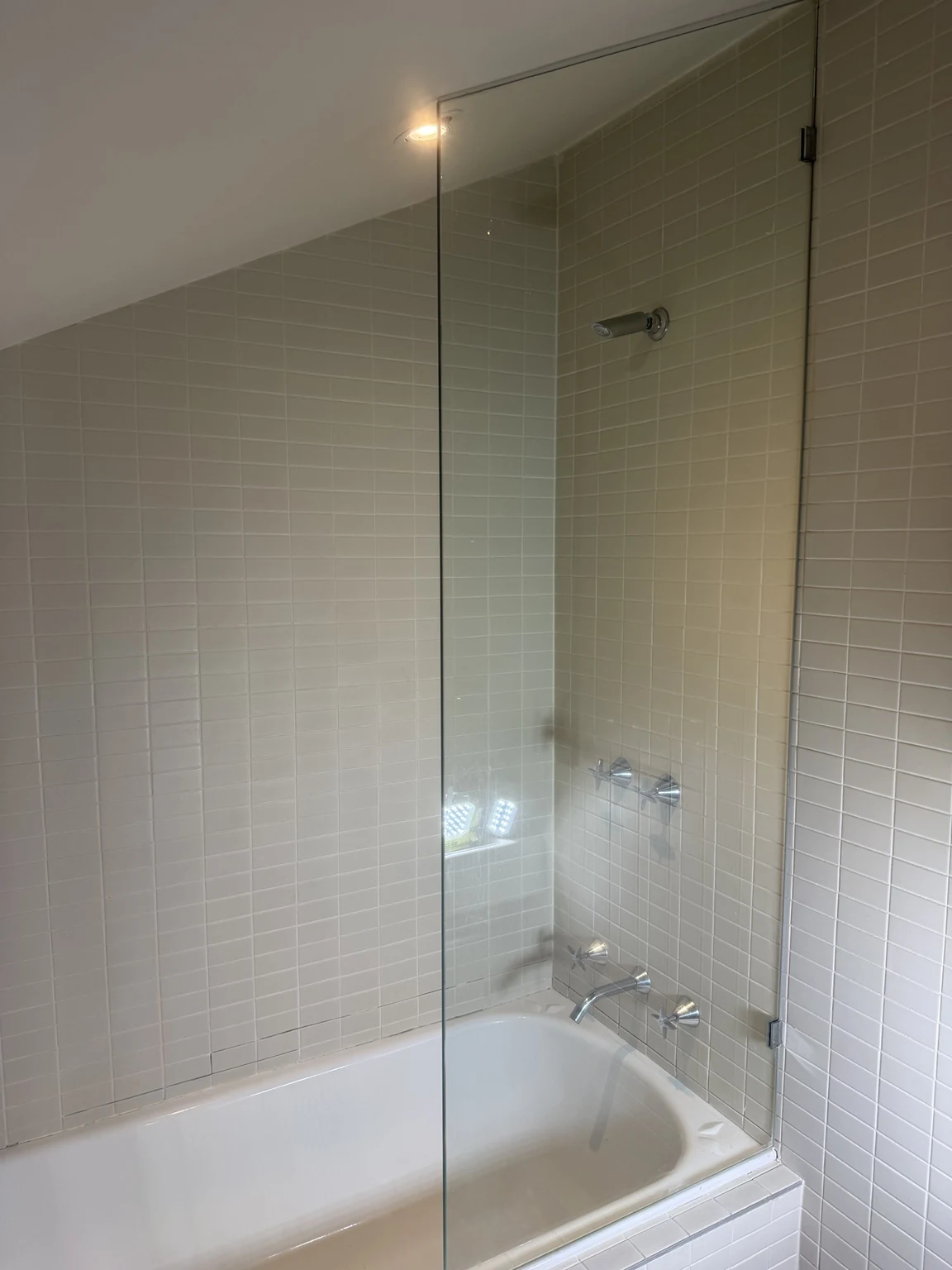 Shower Rebuild before