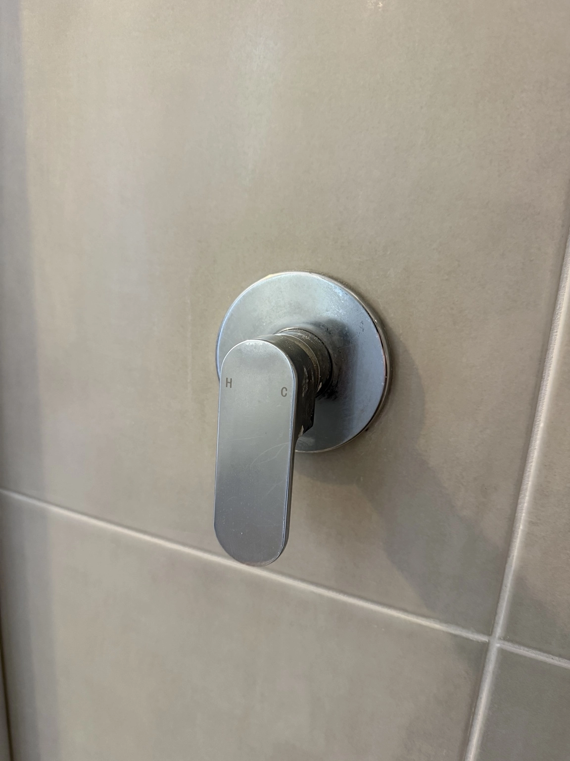Shower Clean before