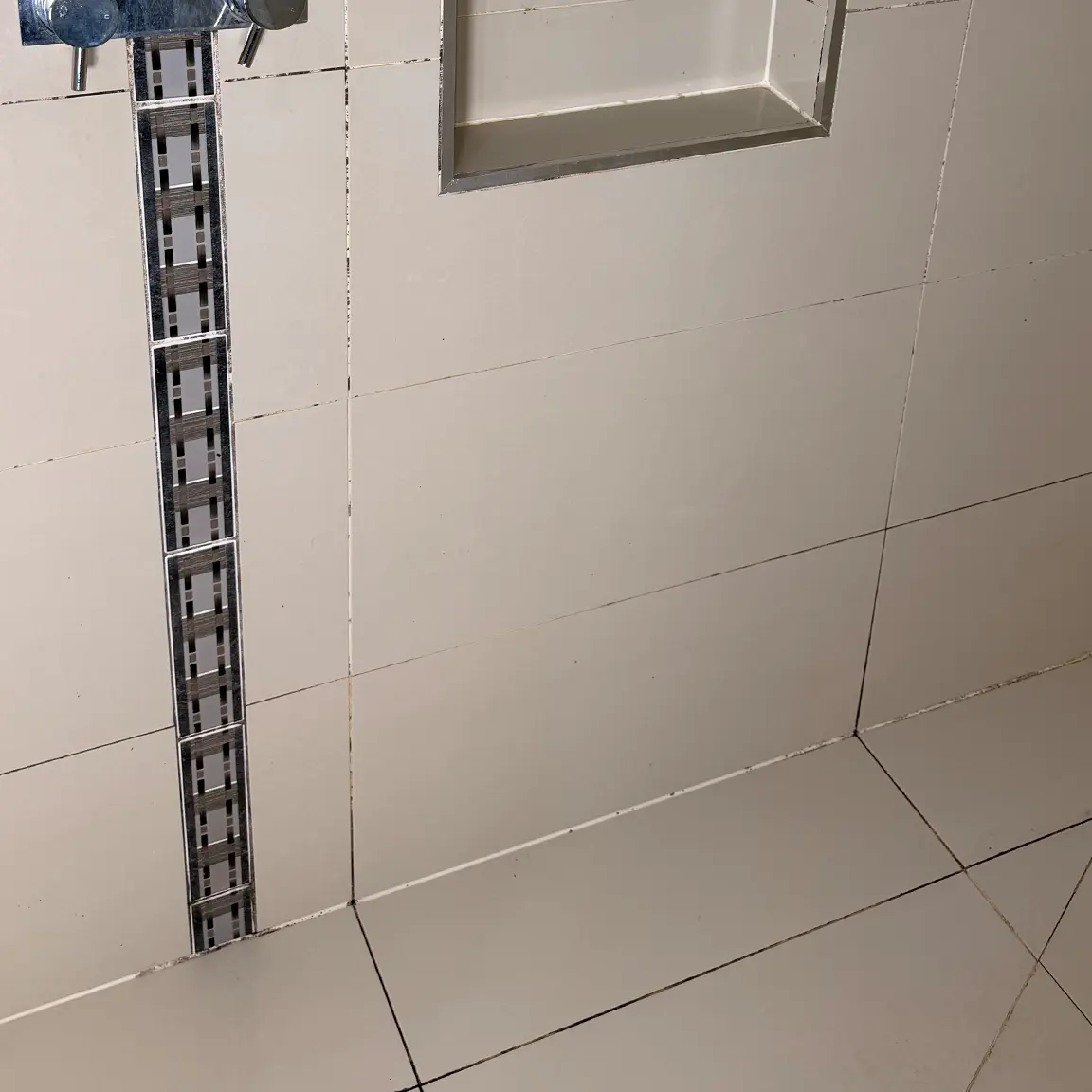 Shower Regrout before